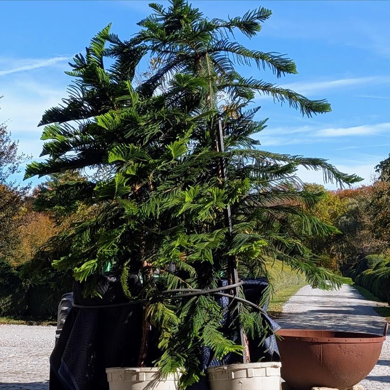 Plan For Seasonal Maintenance And Cleanup Needs