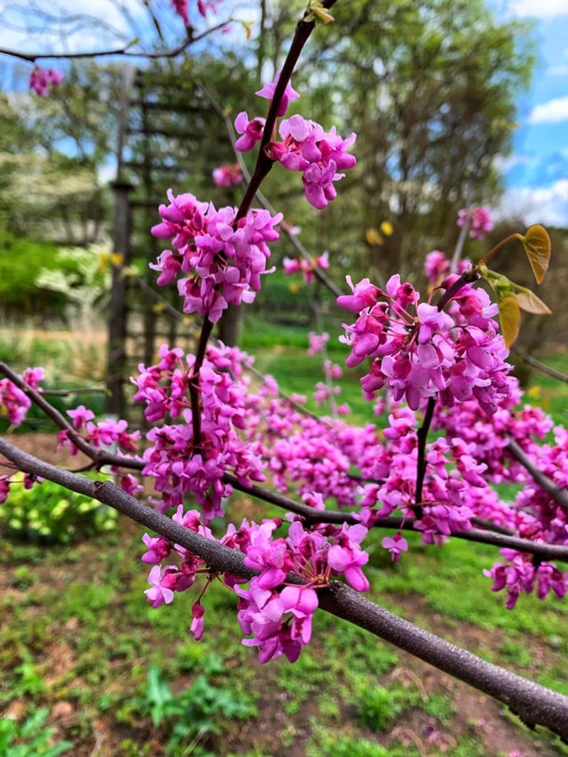 Infrastructure Improvements Enhance Visitor Experience