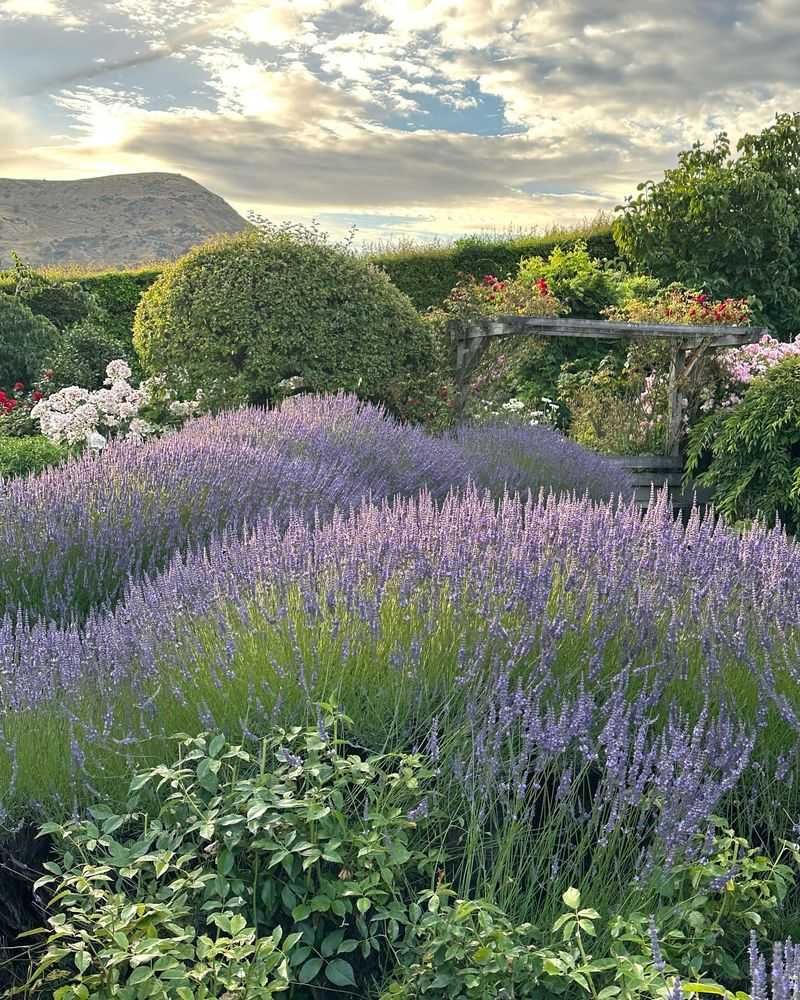 Community Leadership And Neighborhood Inspiration