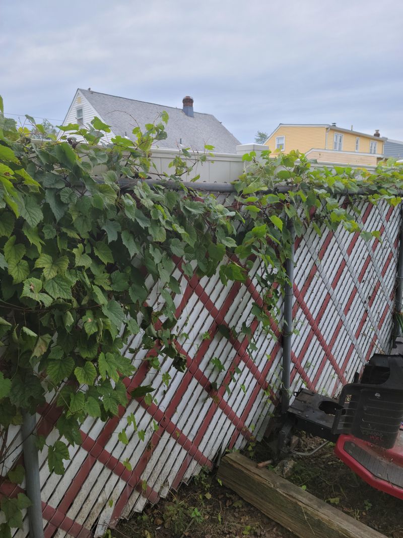 Communication Before Action Prevents Future Problems