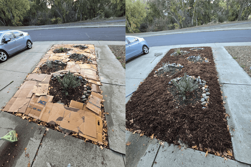 Provides Free Mulch Alternative