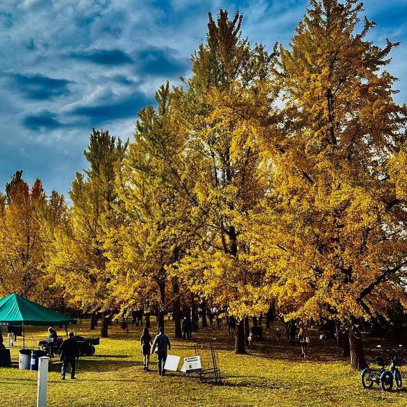 Educational Programs Receive Critical Funding