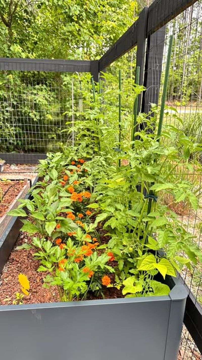 Keeping Winter Watering Routines Clean And Disease-Free