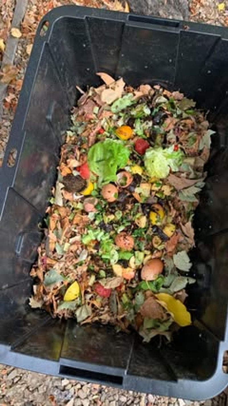 Kitchen Scraps Become Garden Gold