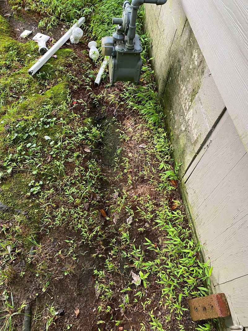 Underneath Roof Drip Lines And Downspout Areas