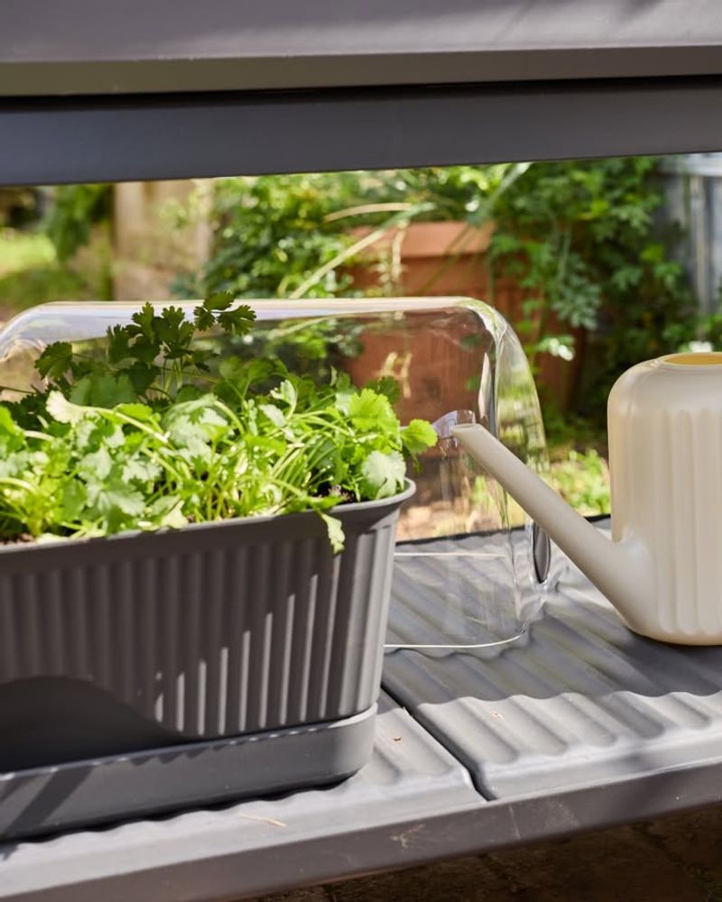 Limited Space Works Perfectly For Compact Growing Systems