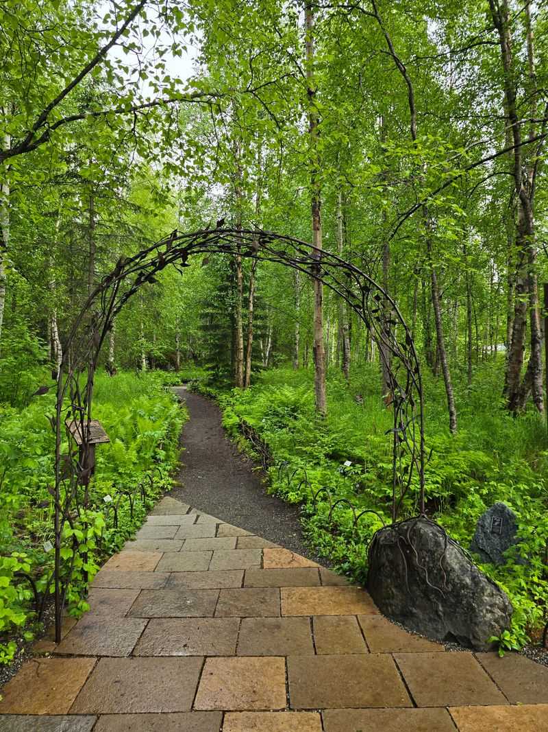 Woodland Trail Through Boreal Forest