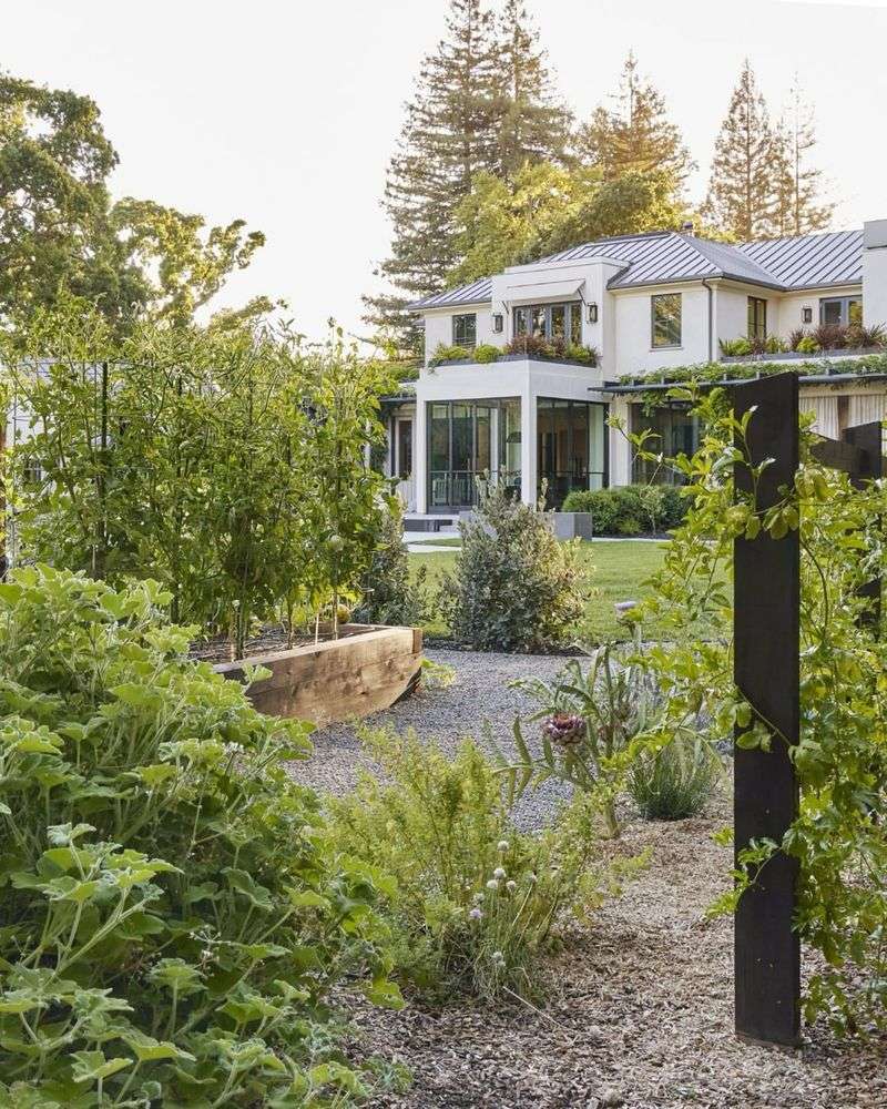 Front Yard Vegetable Gardens In Certain HOA Neighborhoods