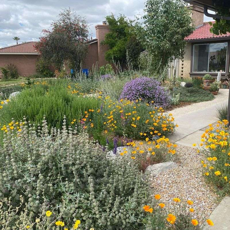 Insurance Companies Are Paying Attention