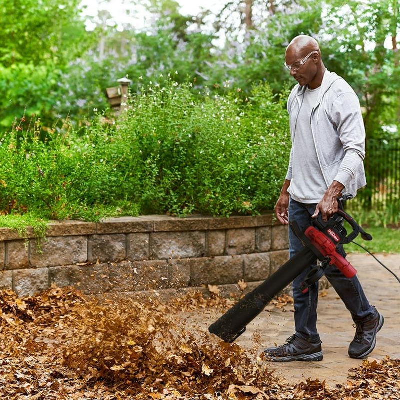 Electric Leaf Blower Vacuum Combo