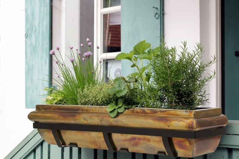 Window Box Herb Gardens