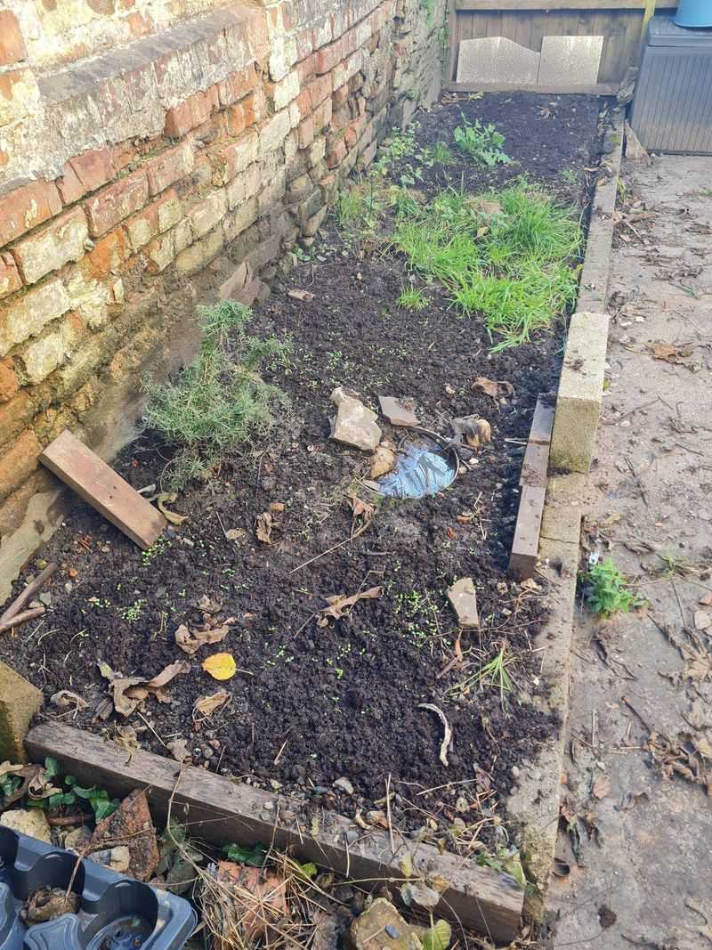 Soil Expansion Damages Plant Crowns And Bulbs