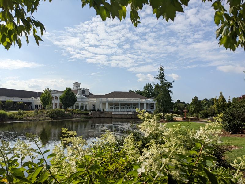 Wildflower Meadow And Native Plants
