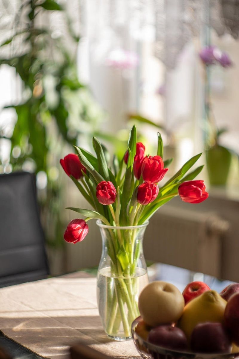 Tulips: The Cheerful Optimist
