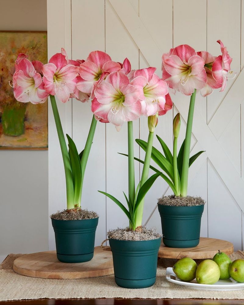 Choose A Heavier Pot For Better Stability