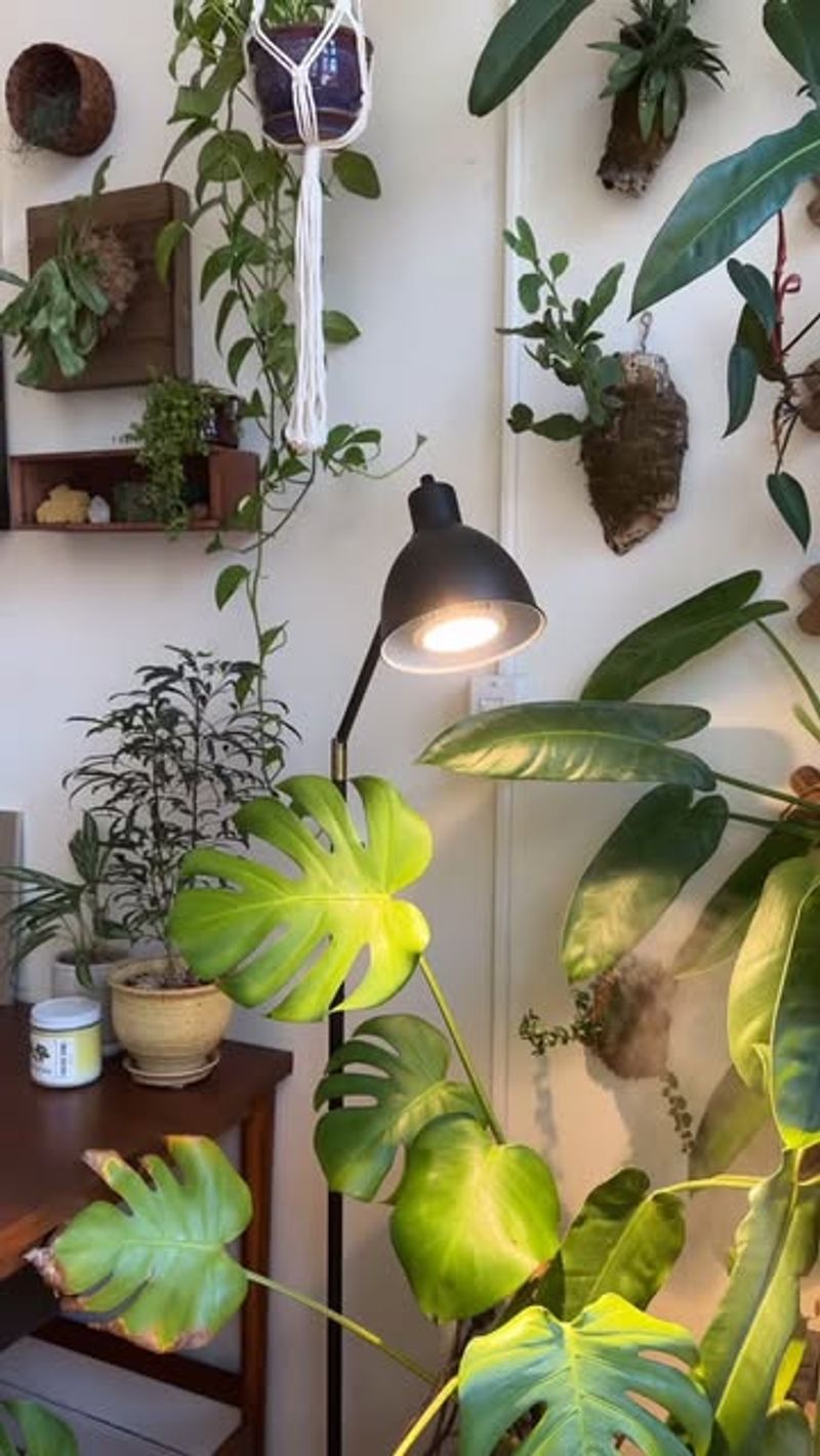 It Supports Health Without Changing Light Levels