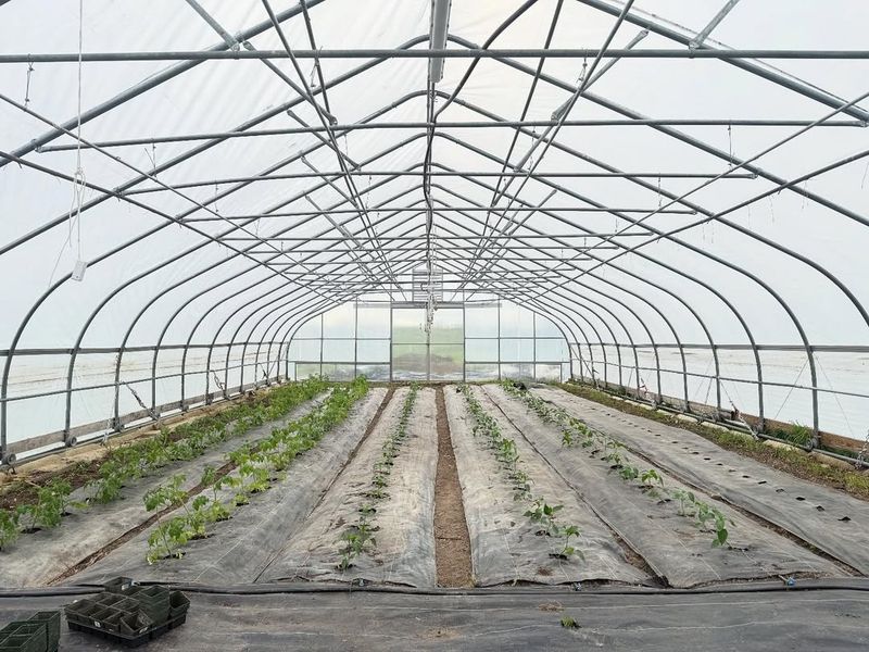 Hoop Houses Create Controlled Environments