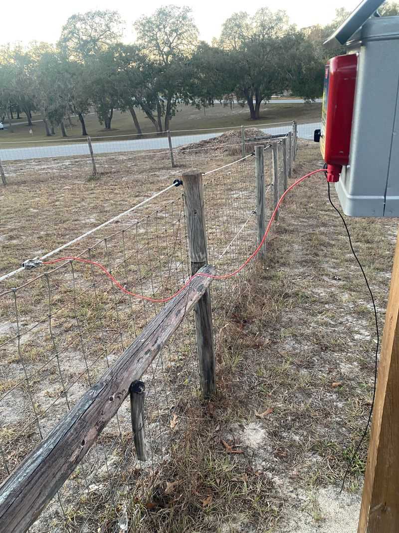 Electric And Security Fences: What's Allowed