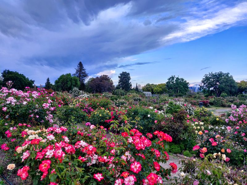 San Jose Guadalupe River Park