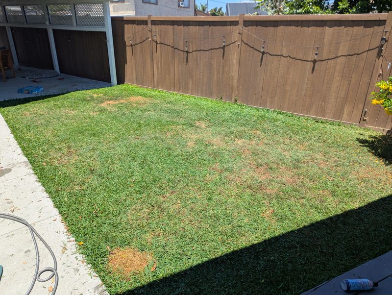 Eco-Friendly Lawn Solution