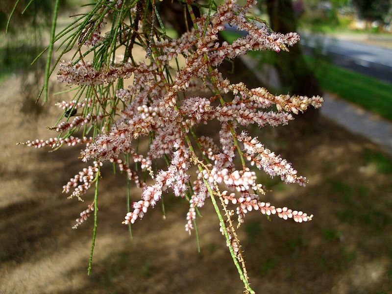 Wildlife Habitat Quality Plummets