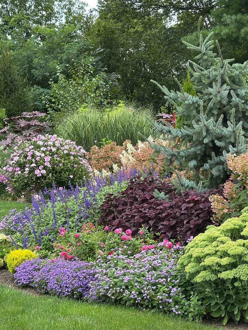 Mixed Perennial Corner by the Shed