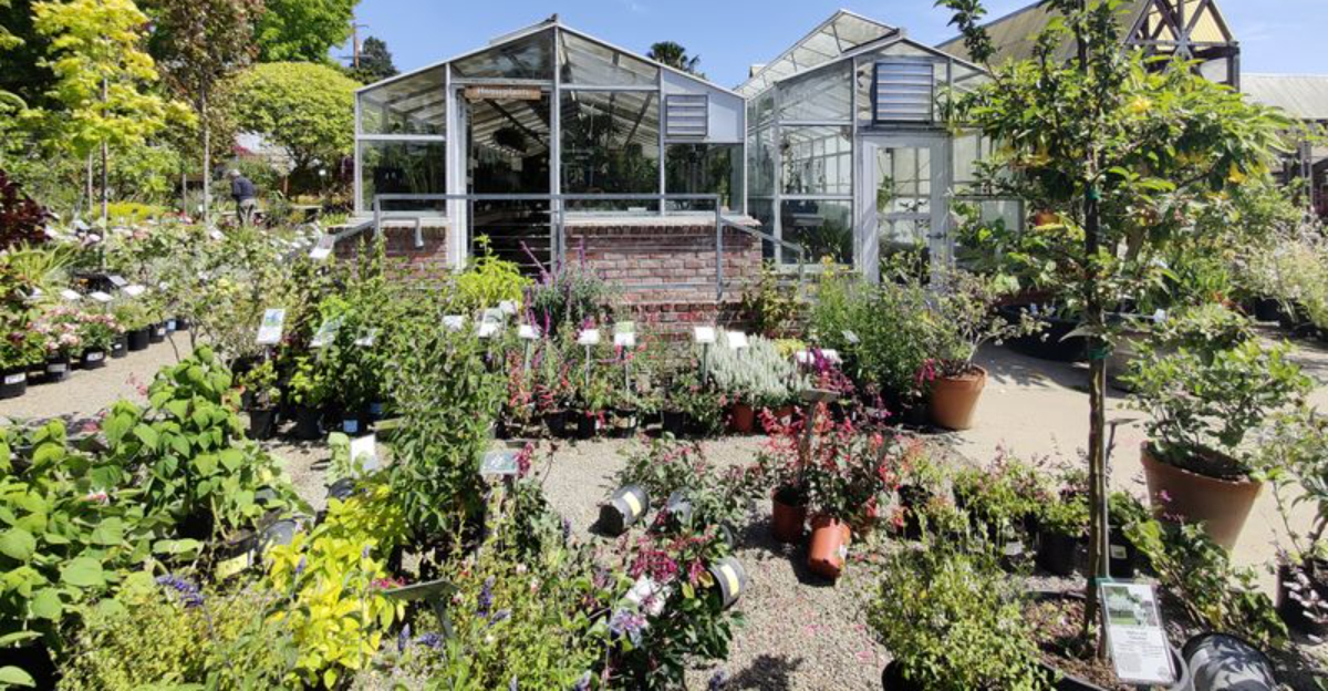 Satellite Images Reveal How Fast Drought-Tolerant Landscapes Are Replacing Lawns Across California