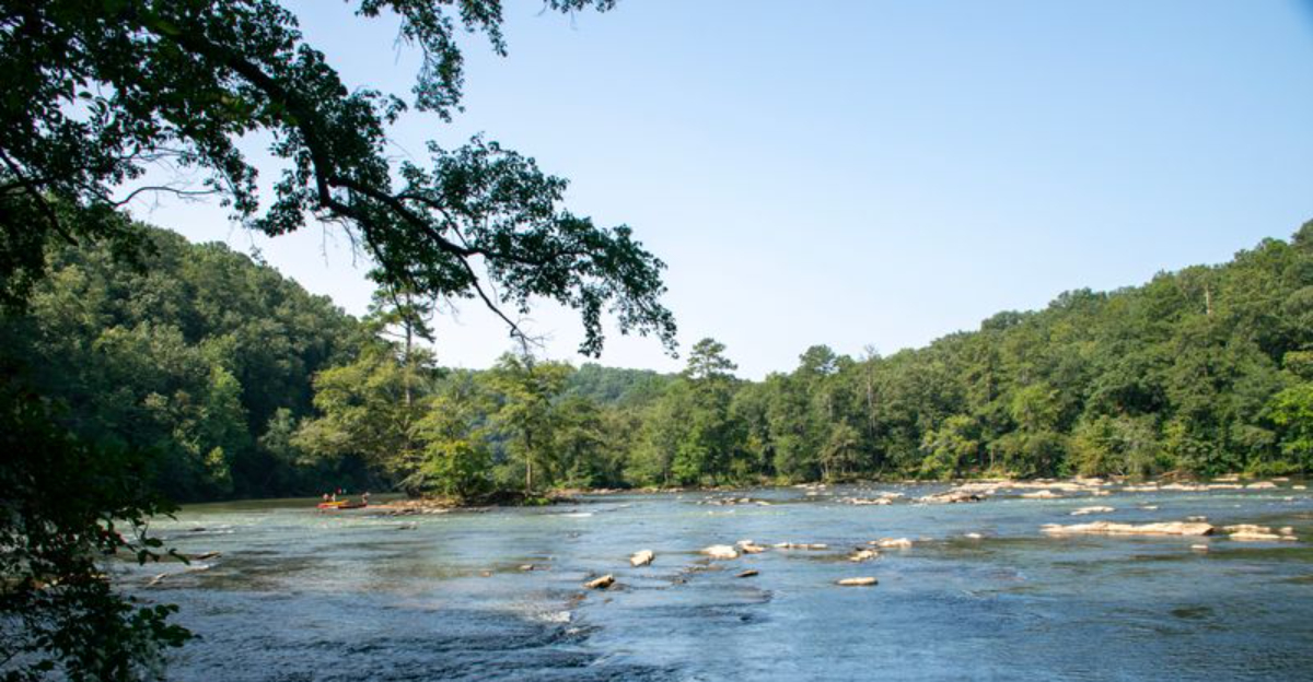 Satellite Images Show How Georgia’s Rapid Growth Is Cutting Into Wildlife Corridors