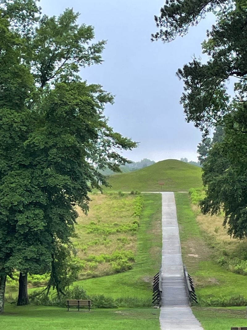 Macon's Ocmulgee River Floodplain