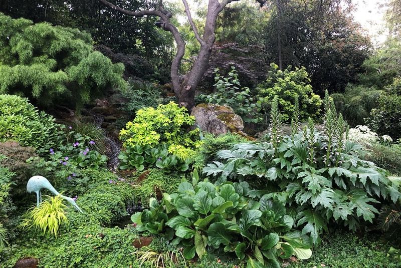 Divide Existing Perennials To Create More Plants