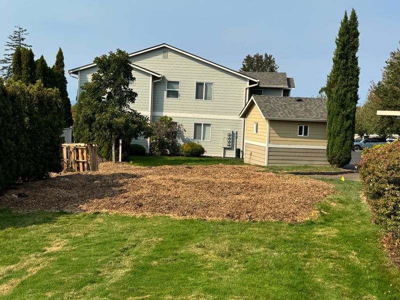 Connecting With Your Neighbors