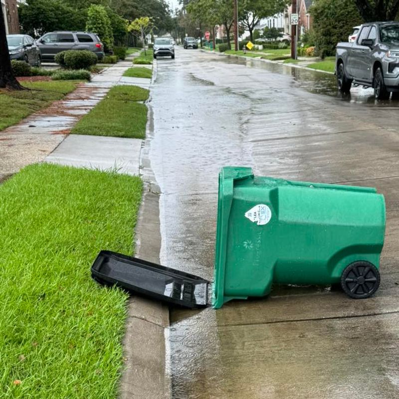Disturbed Garbage Cans Or Compost Bins