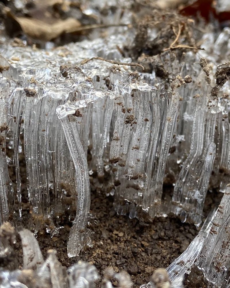 Social Media Spreads Awareness And Photos