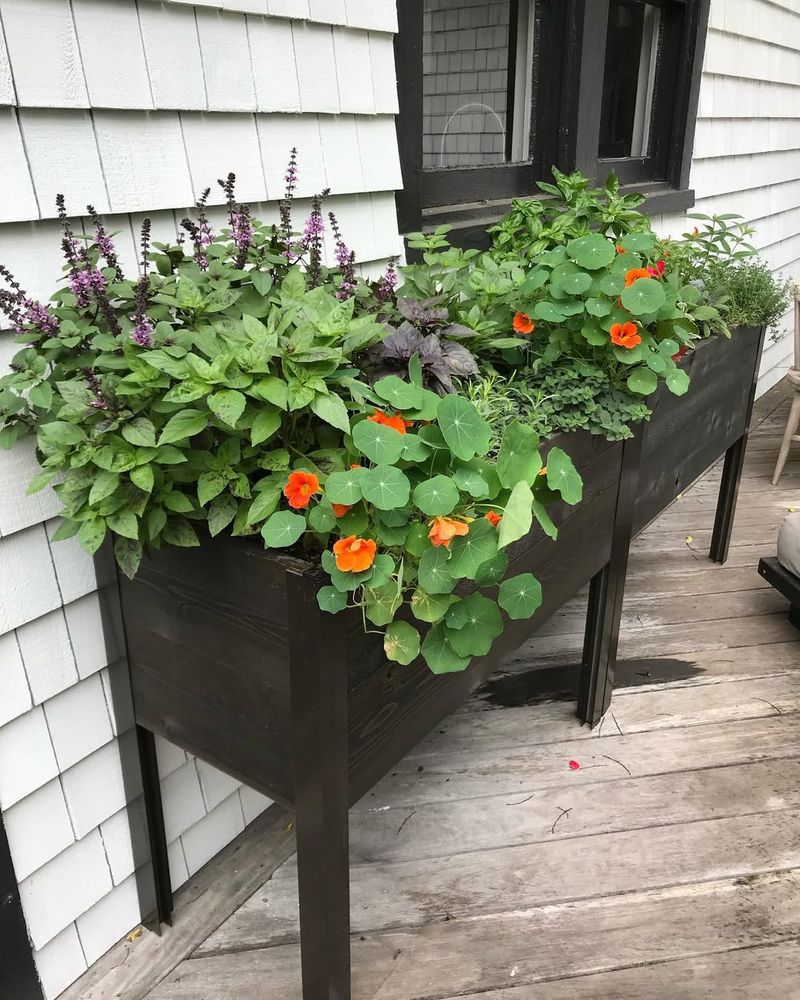 Maintenance Keeps Beds Productive