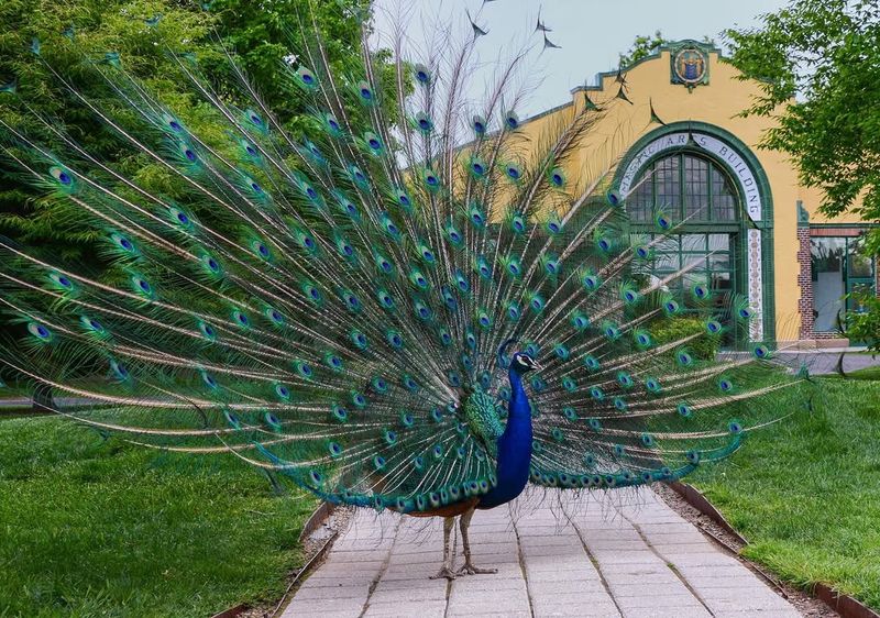 Monet's Garden Recreation Offers European Charm