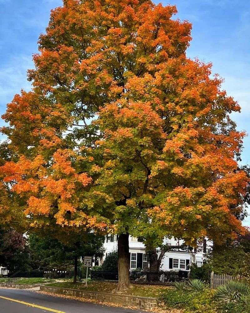 Maintenance Requirements And Cleanup Tasks