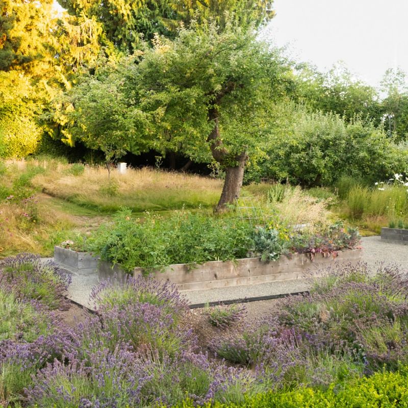 Native Plant Demonstrations Supporting Local Ecosystems