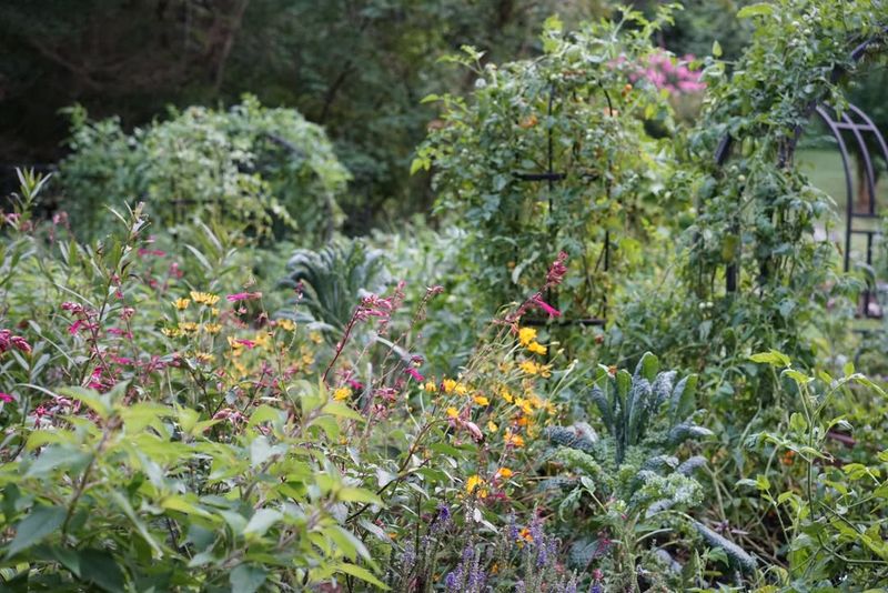 Chemical Use Becomes Unnecessary