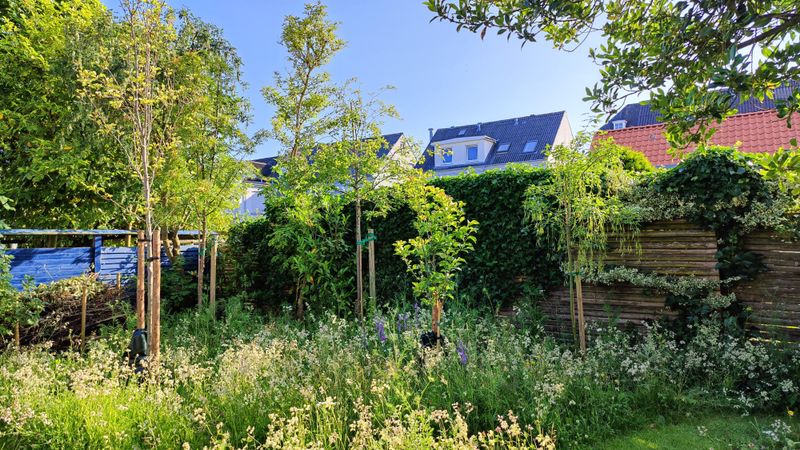 Small-Space Adaptations Work Surprisingly Well