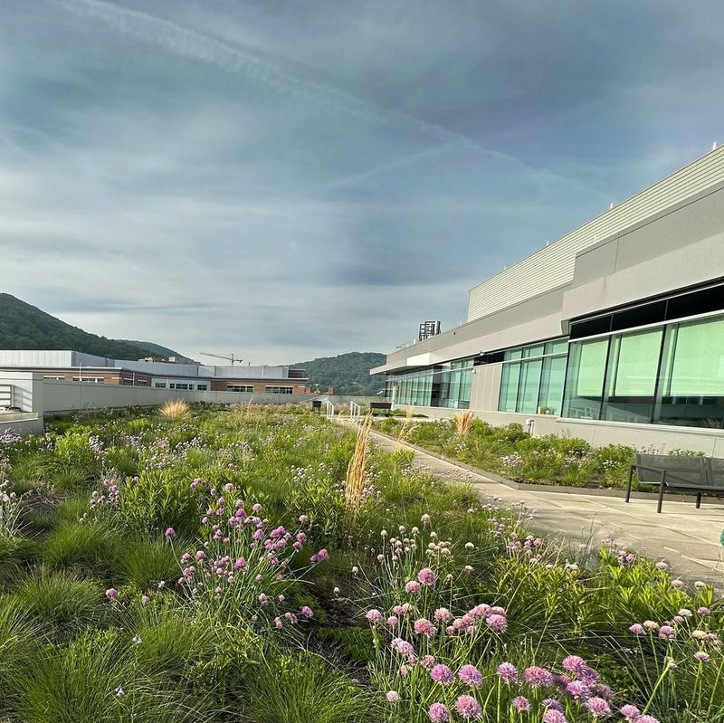 Test Irrigation System Functionality