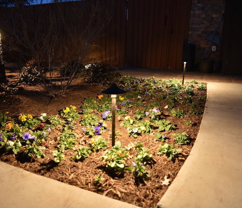 Turn On Outdoor Lights Or Make Controlled Noise From Inside To Encourage The Hog To Leave