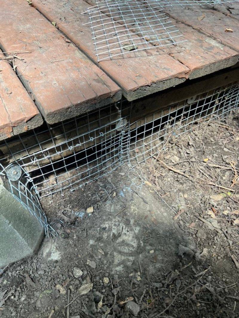 Create Physical Barriers Around Your Property