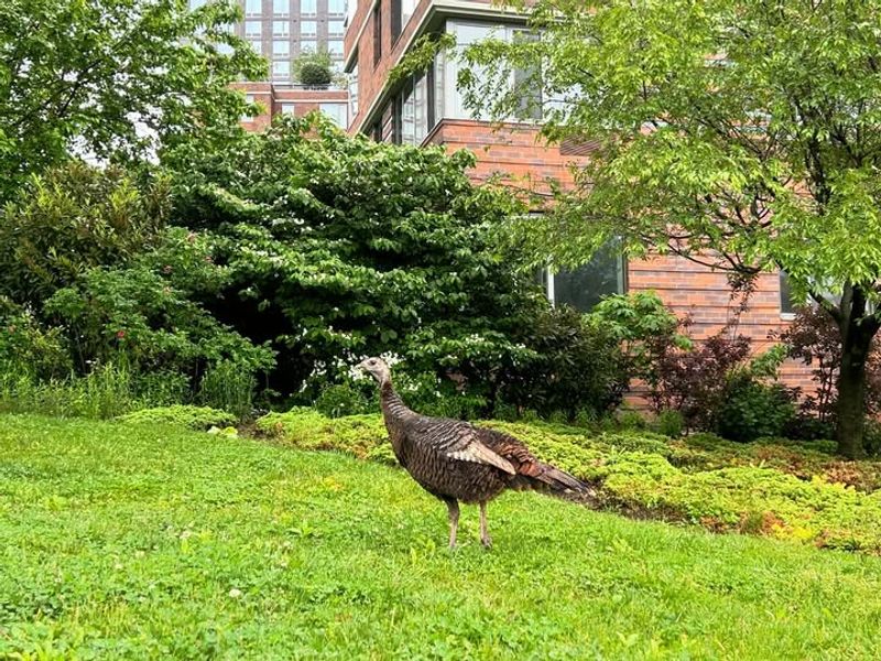 Protect Your Garden and Landscaping