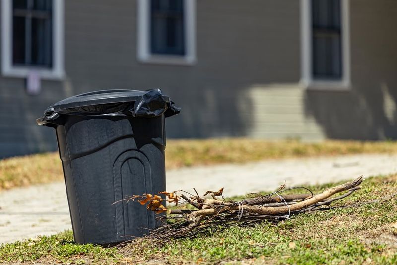 Remove Potential Food Sources