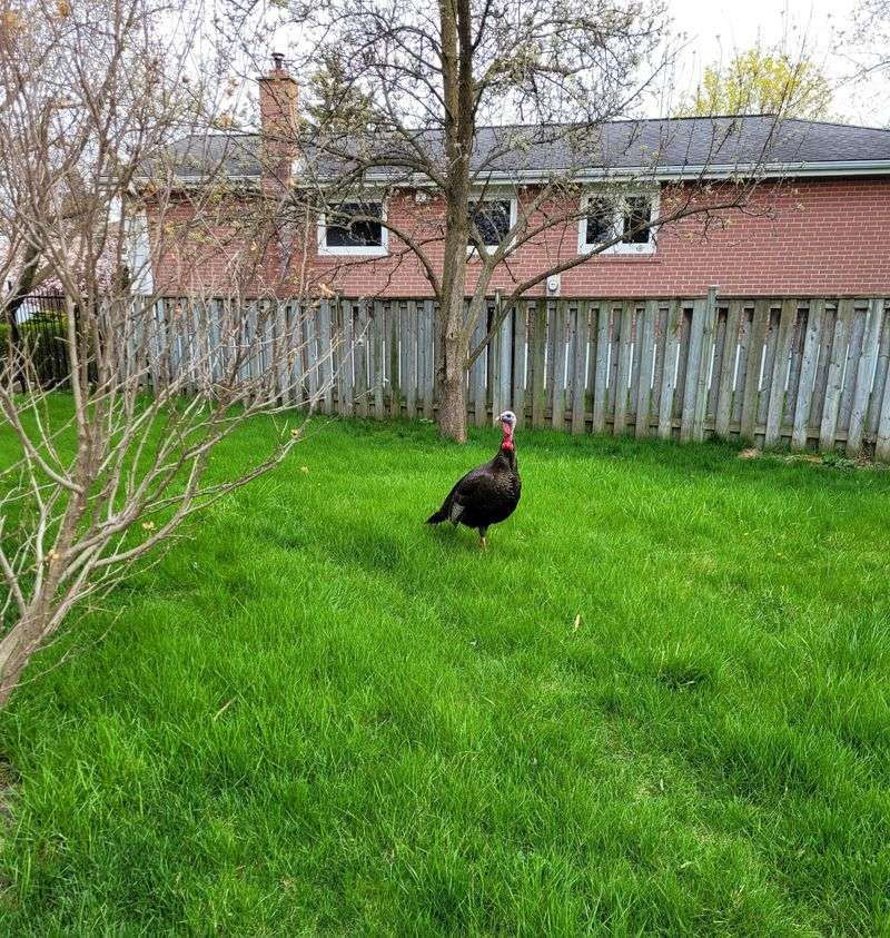 Teach Children How To React Safely