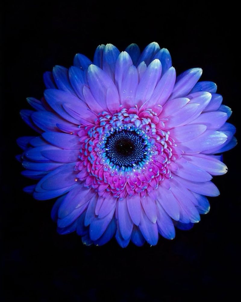 Photography Opportunities Explode with Creativity