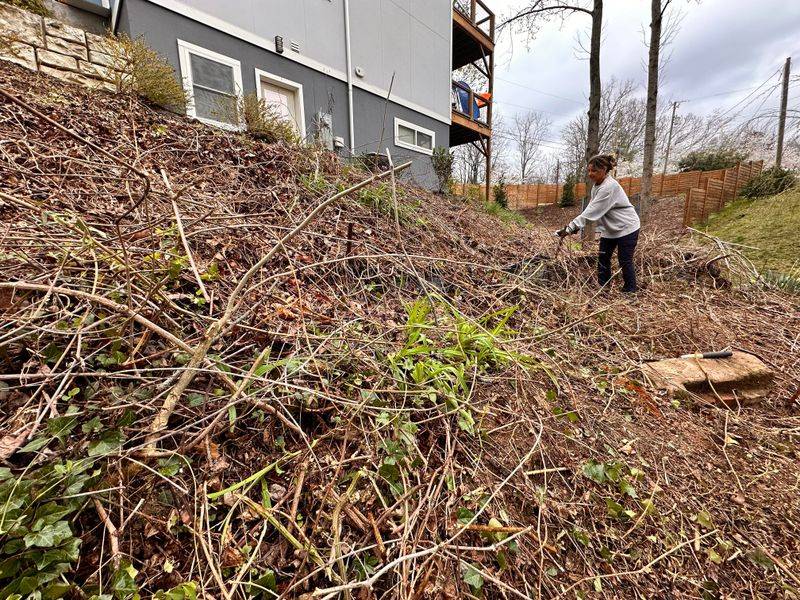 Control Methods And Removal Strategies