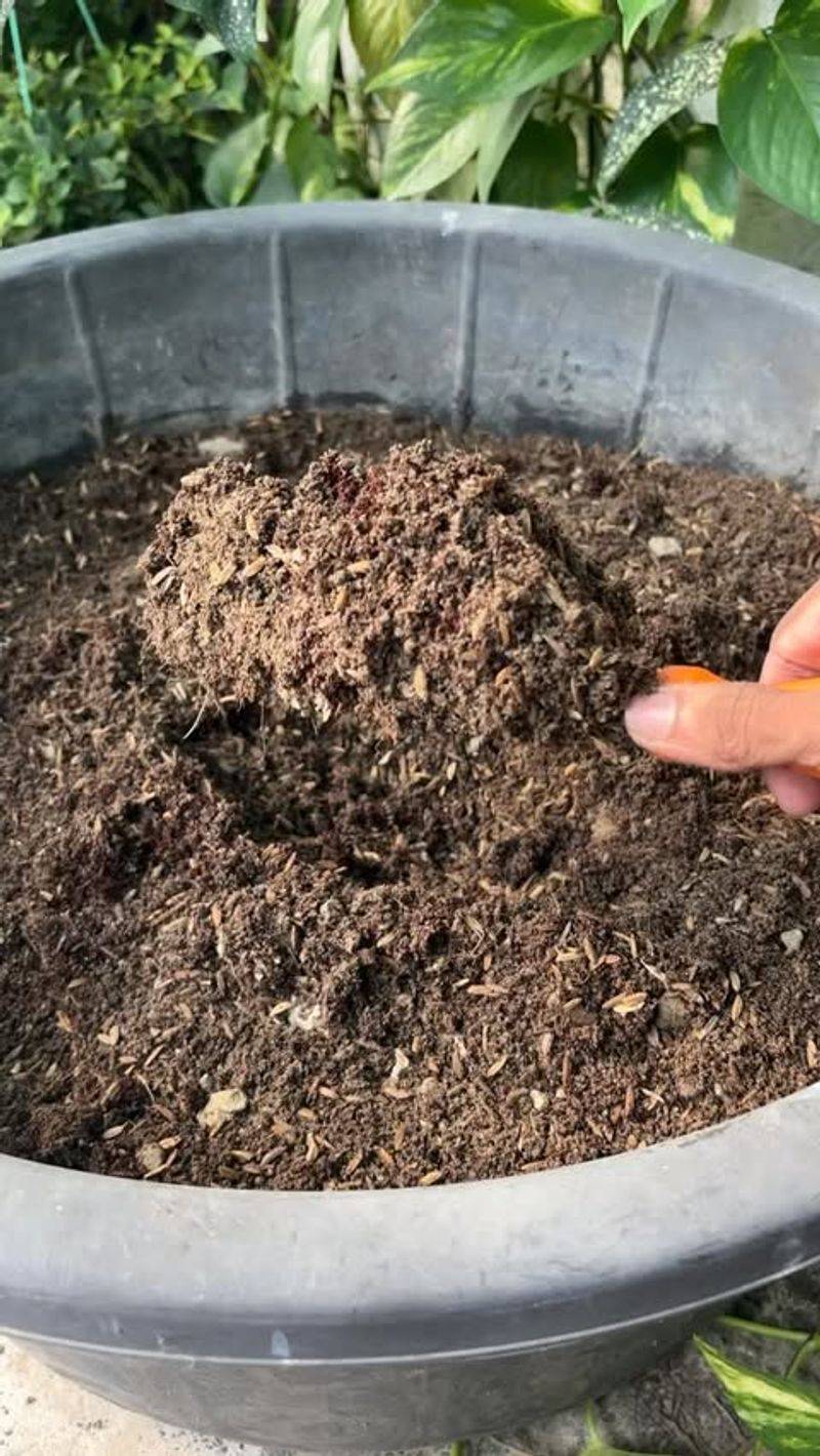 Switch To Winter Soil Mixes