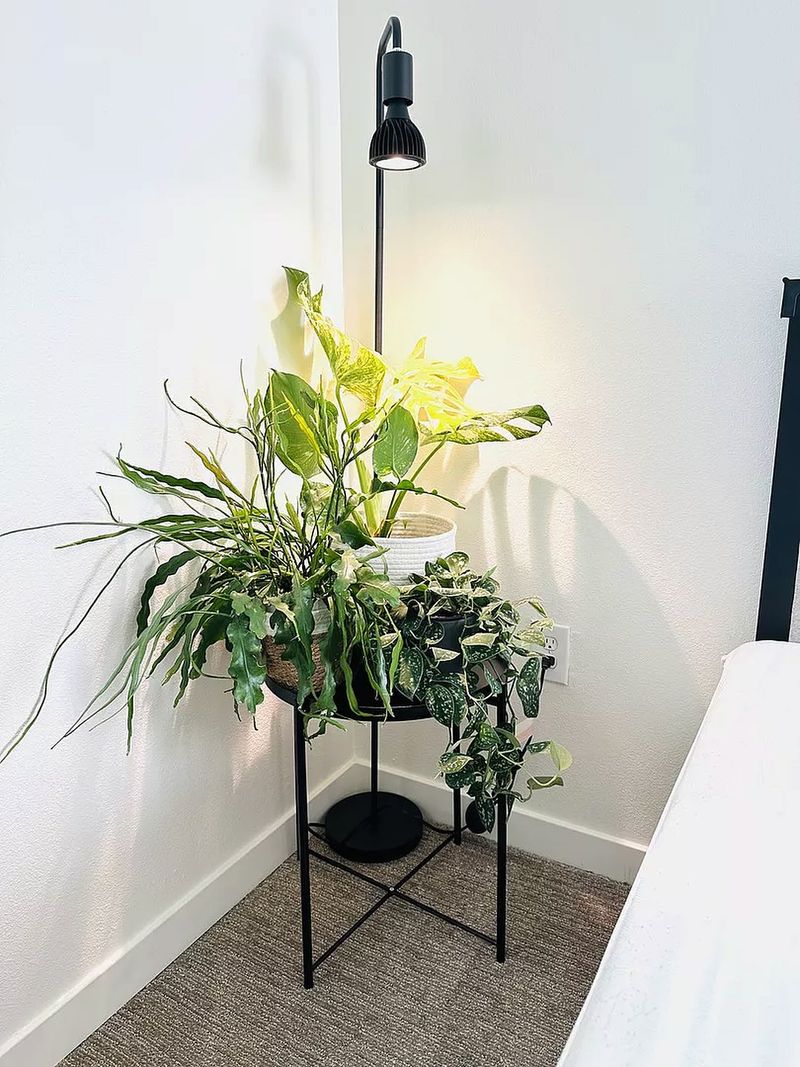 Install Proper Grow Lights For Winter Darkness