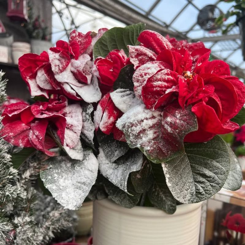 Exposing Them To Temperature Extremes